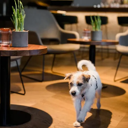 Boutique Hundehotel Bergzeit Hotel 4*