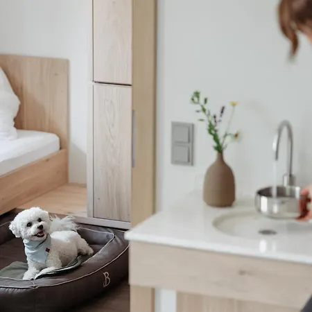 Boutique Hundehotel Bergzeit