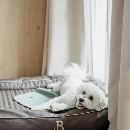 Boutique Hundehotel Bergzeit Hotel