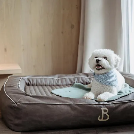 Boutique Hundehotel Bergzeit