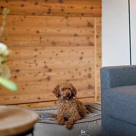 Boutique Hundehotel Bergzeit Hotel