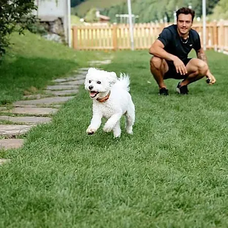 Hotel Boutique Hundehotel Bergzeit Grossarl