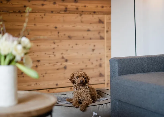 Boutique Hundehotel Bergzeit