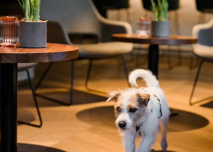 Boutique Hundehotel Bergzeit 酒店 4*