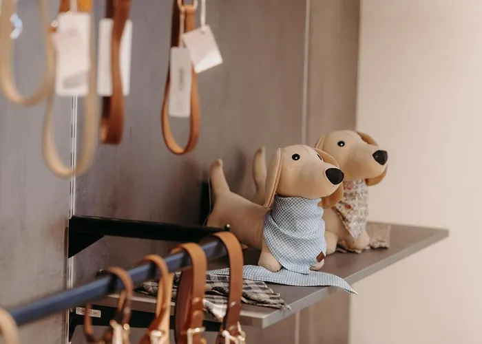 酒店 Boutique Hundehotel Bergzeit 格罗萨尔