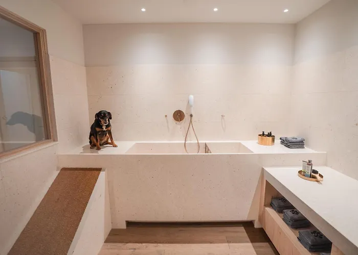 Boutique Hundehotel Bergzeit 格罗萨尔