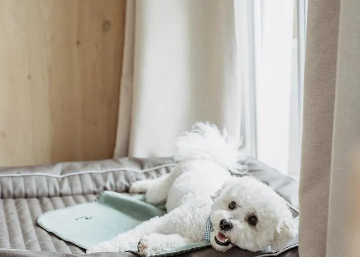 Boutique Hundehotel Bergzeit 호텔