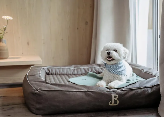 Boutique Hundehotel Bergzeit