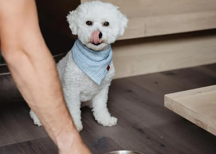 Boutique Hundehotel Bergzeit 酒店
